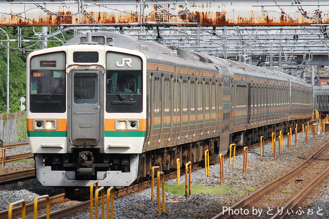 616bde8c38869ee5018055a94f0209