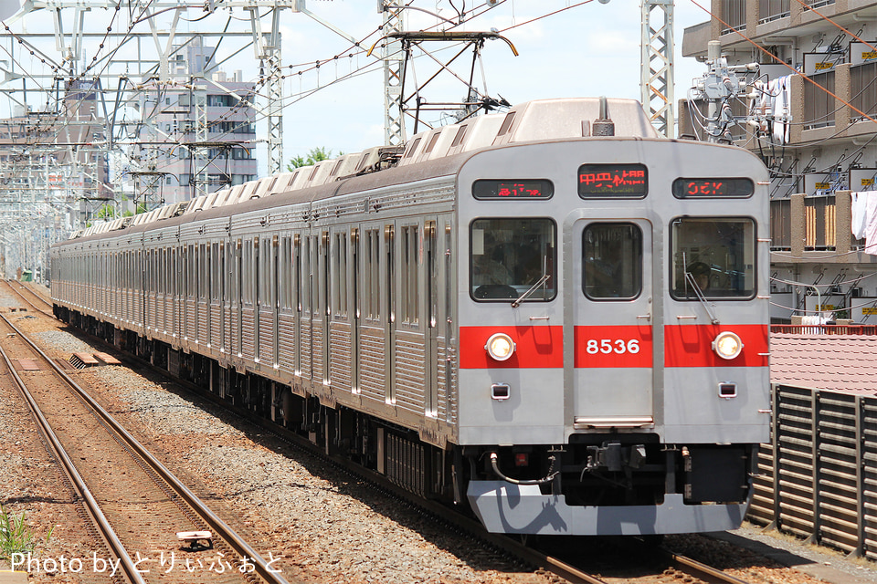 東急8500系8636F<br class="br-sp" />(8636編成)の写真