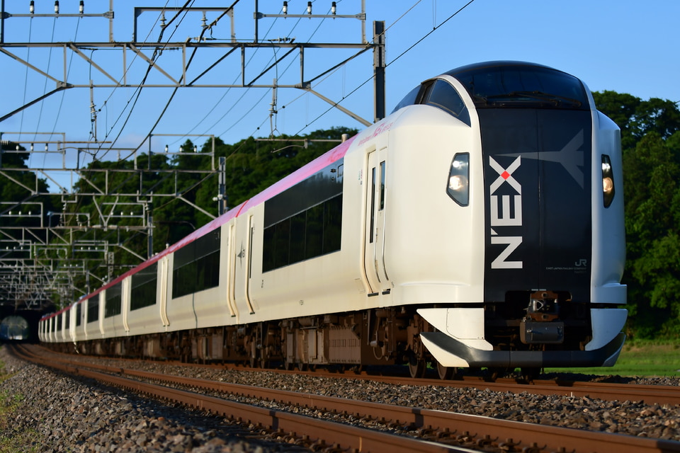 JR東E259系クラNe001編成<br class="br-sp" />(Ne001編成)(Ne001編成)の写真