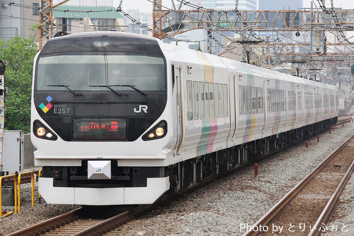 JR東日本 松本車両センター E257系 モトM-115編成