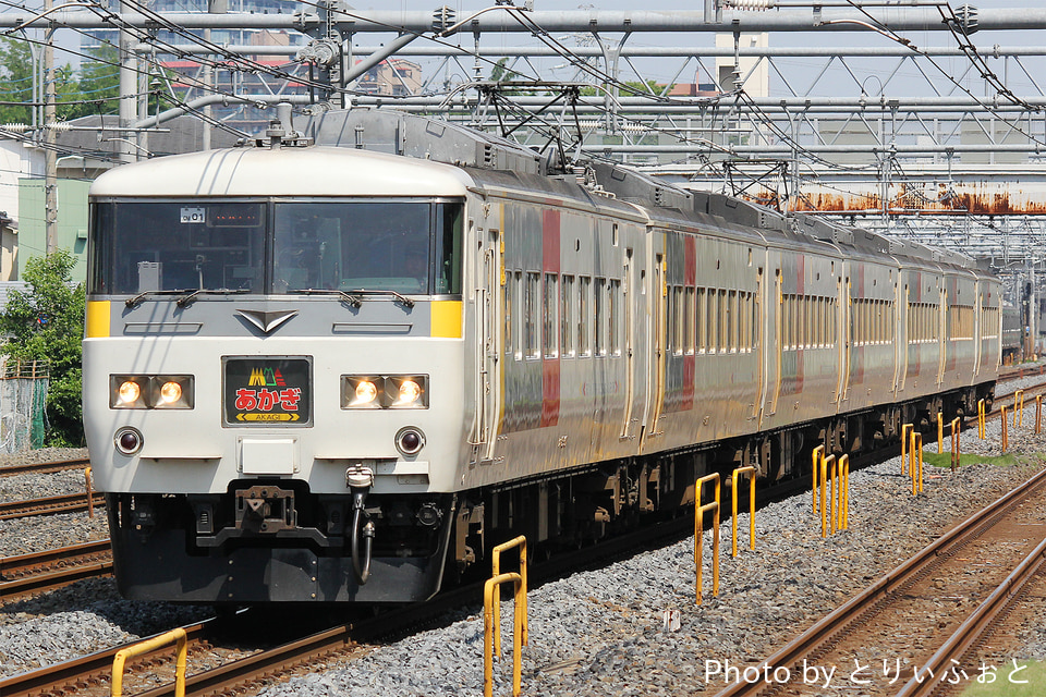 JR東185系オオOM01編成<br class="br-sp" />(オオOM01)(OM01編成)の写真