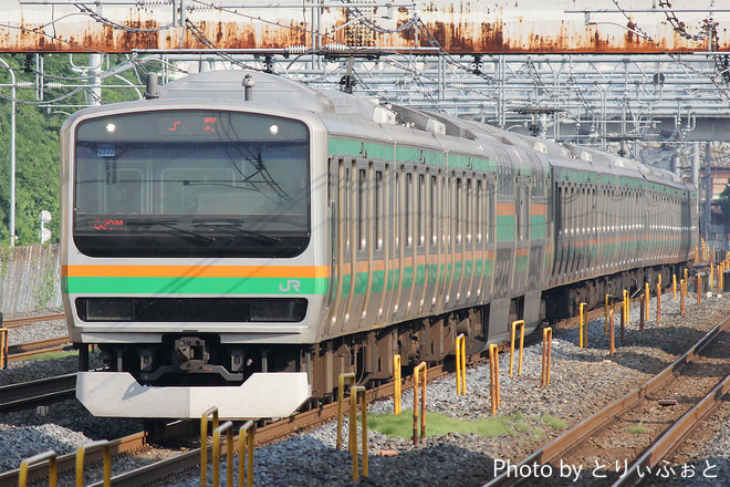 小山車両センターE231系ヤマU533編成を西川口駅で撮影した写真