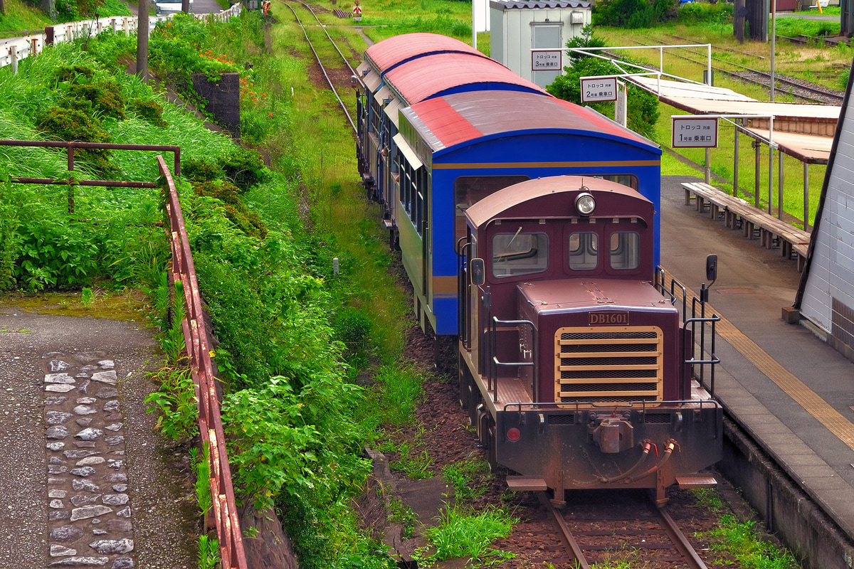 南阿蘇鉄道 高森 DB1600 1601