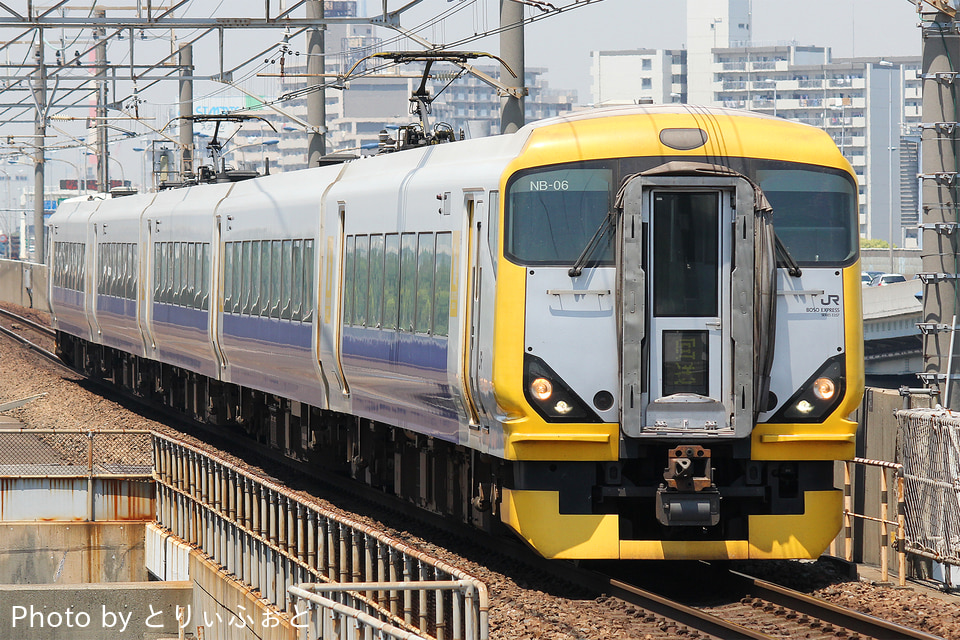JR東E257系マリNB-06編成<br class="br-sp" />(NB-06編成)(マリNB-06)の写真