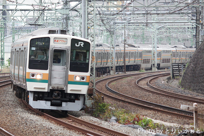 田町車両センター 211系 チタN55編成 の写真 |鉄道写真投稿サイトTrain