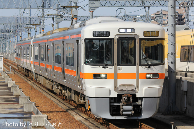 313系 B502編成 の写真 