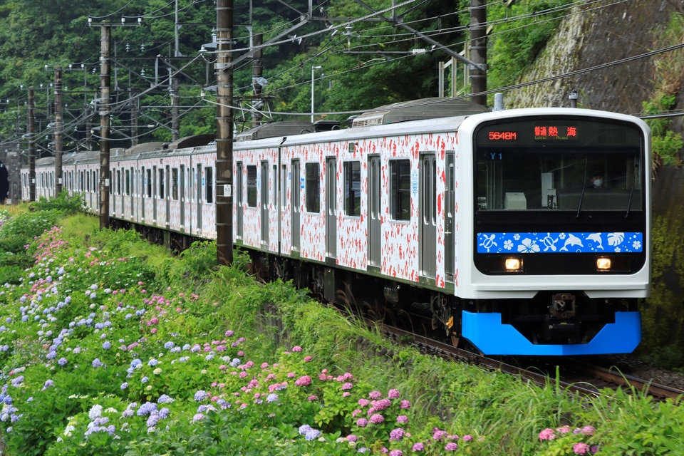 伊豆急3000系Y-1編成<br class="br-sp" />(Y1編成)の写真