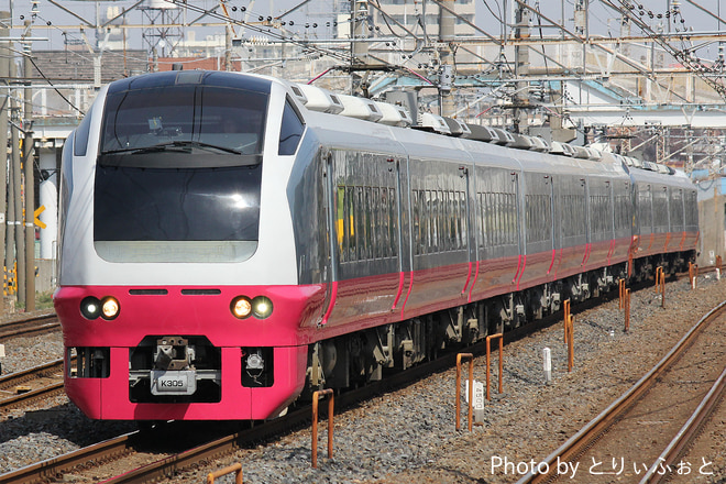 勝田車両センターE653系カツK305編成を馬橋駅で撮影した写真