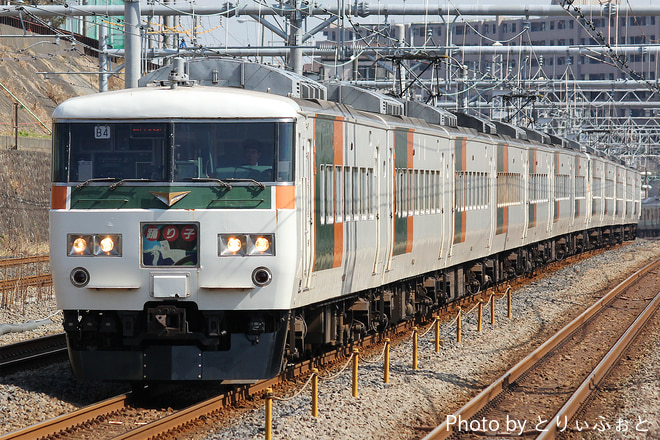 田町車両センター185系チタB4編成を新子安駅で撮影した写真