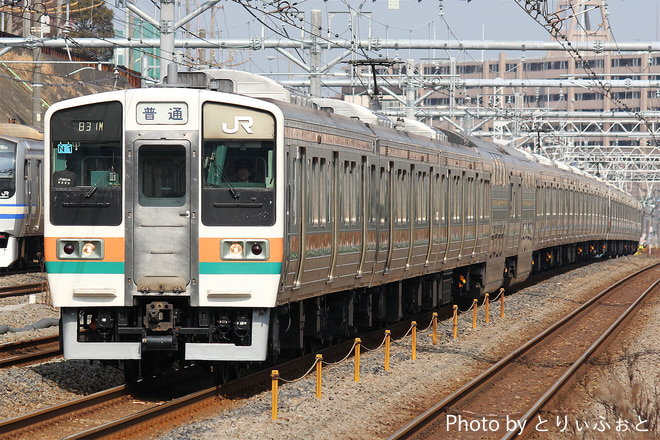 田町車両センター211系チタN1編成を新子安駅で撮影した写真