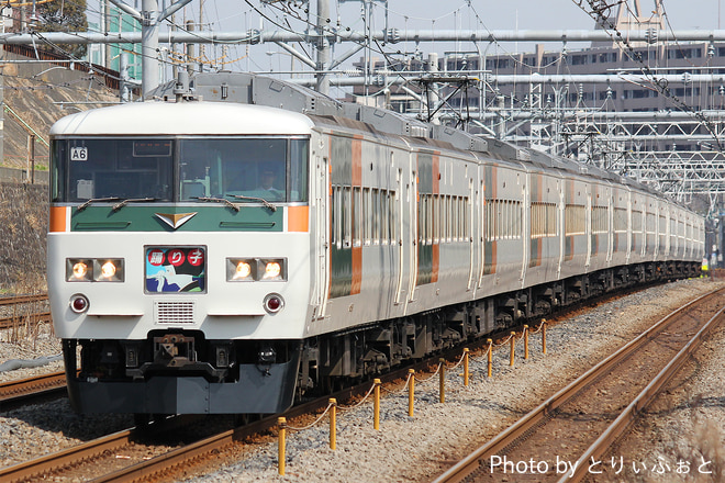 田町車両センター185系チタA6編成を新子安駅で撮影した写真
