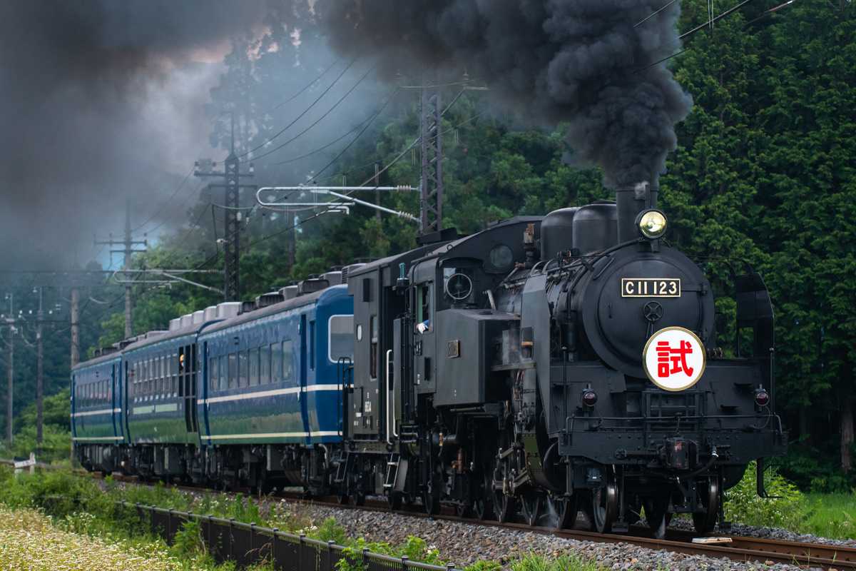 東武鉄道 下今市機関区 C11 123