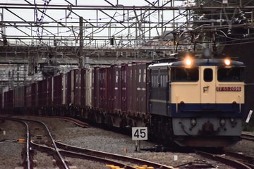 JR貨物 新鶴見機関区 EF65 2096