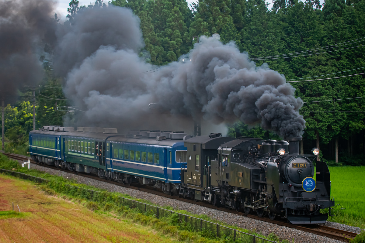 東武鉄道 下今市機関区 C11 207