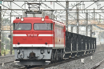 JR東日本 尾久車両センター EF81 EF81-95