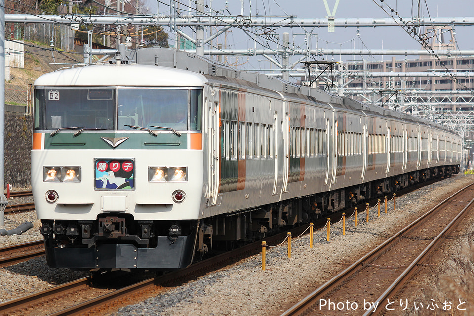 JR東185系オオB2編成<br class="br-sp" />(オオB2)(B2編成)の写真