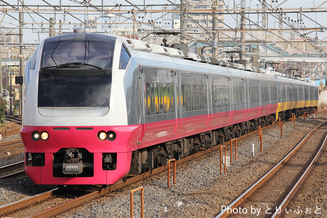 勝田車両センターE653系カツK301編成を馬橋駅で撮影した写真