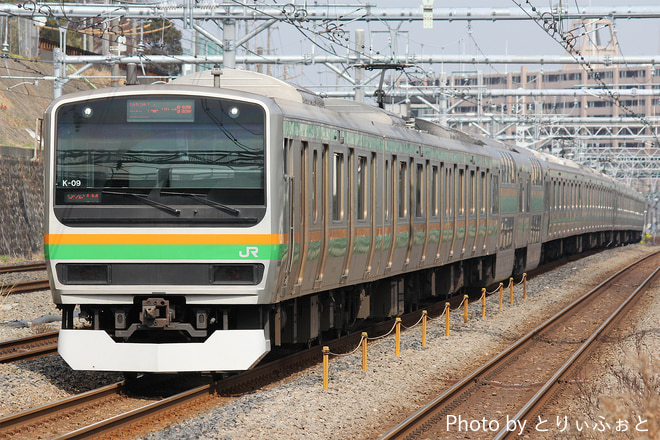 国府津車両センターE231系コツK-09編成を新子安駅で撮影した写真