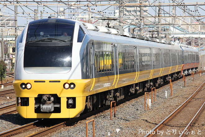 勝田車両センターE653系カツK303編成を馬橋駅で撮影した写真