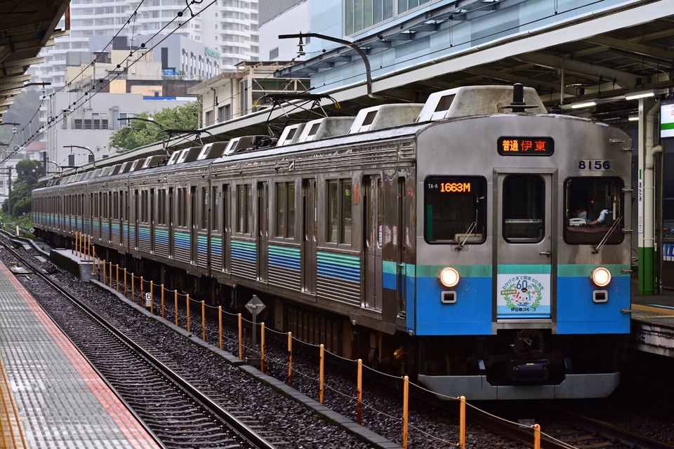 伊豆急8000系TA6編成の写真