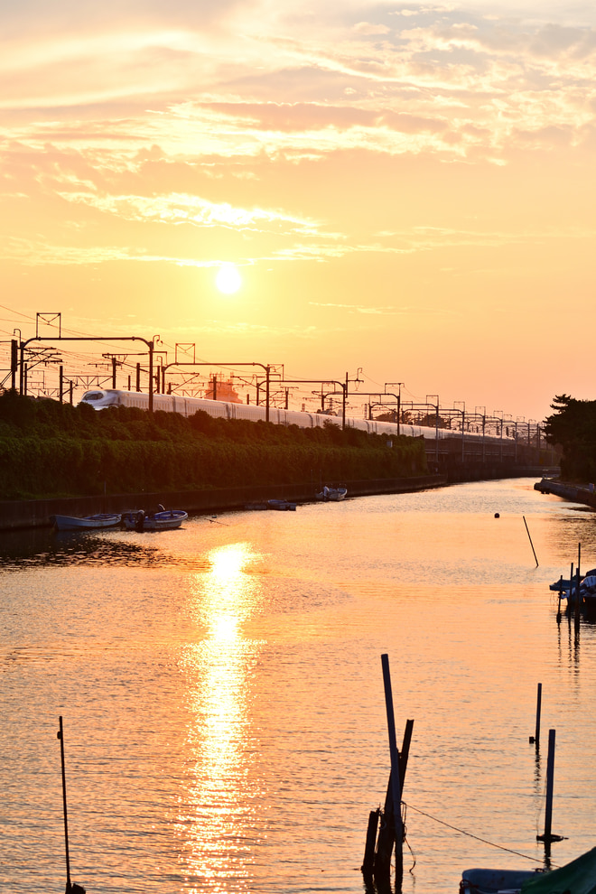 大井車両基地 N700系 の写真 鉄道写真投稿サイトTrainDirectory 大井車両基地 N700系 の写真 鉄道写真投稿サイトTrainDirectory
