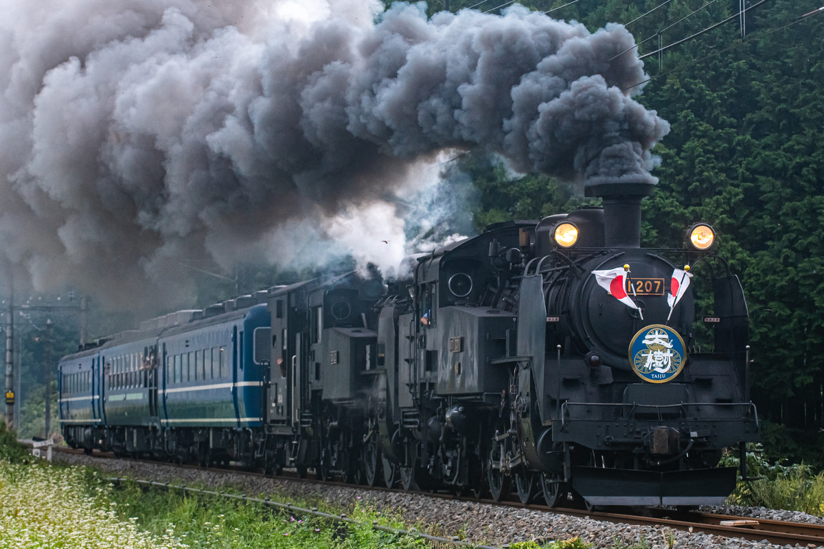 東武鉄道 下今市機関区 C11 207