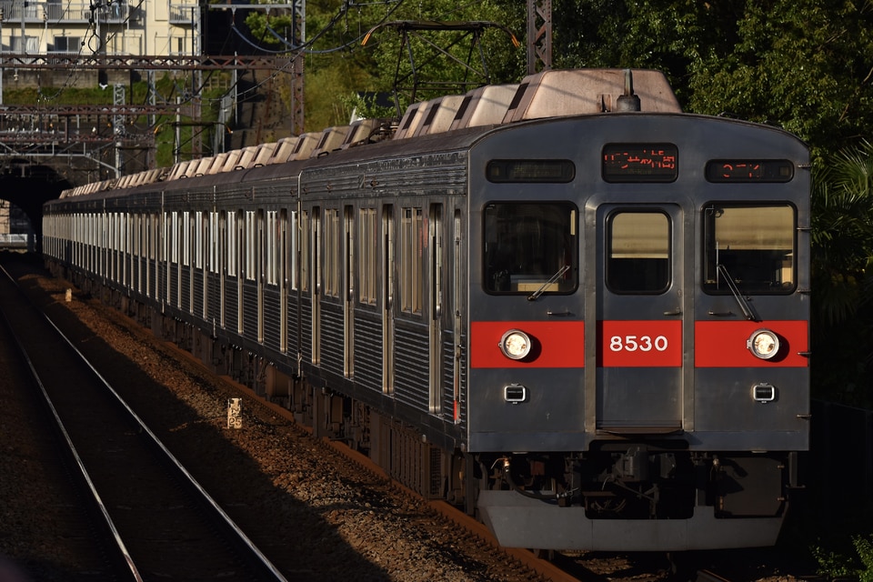 東急8500系8630F<br class="br-sp" />(8630編成)の写真