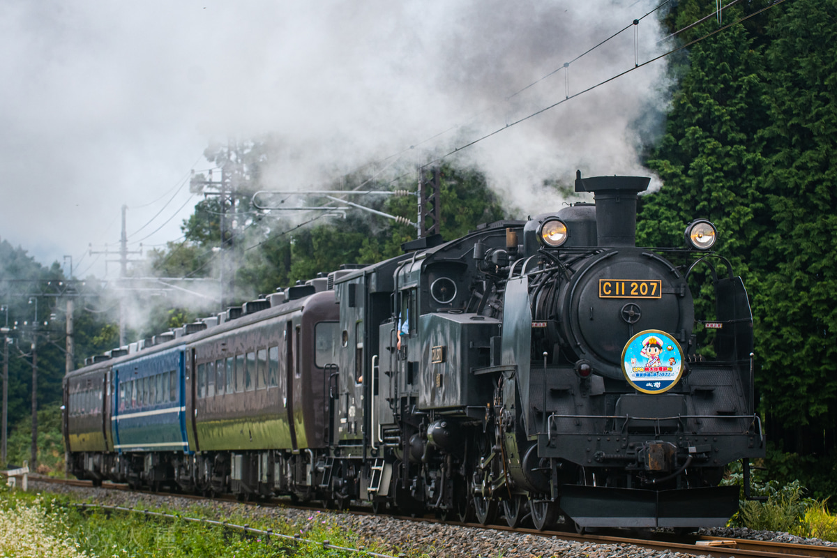 東武鉄道 下今市機関区 C11 207