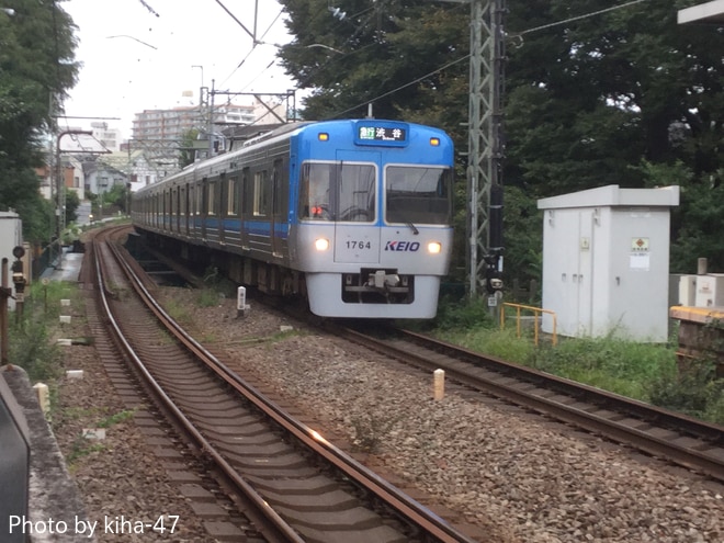 bykiha-47
