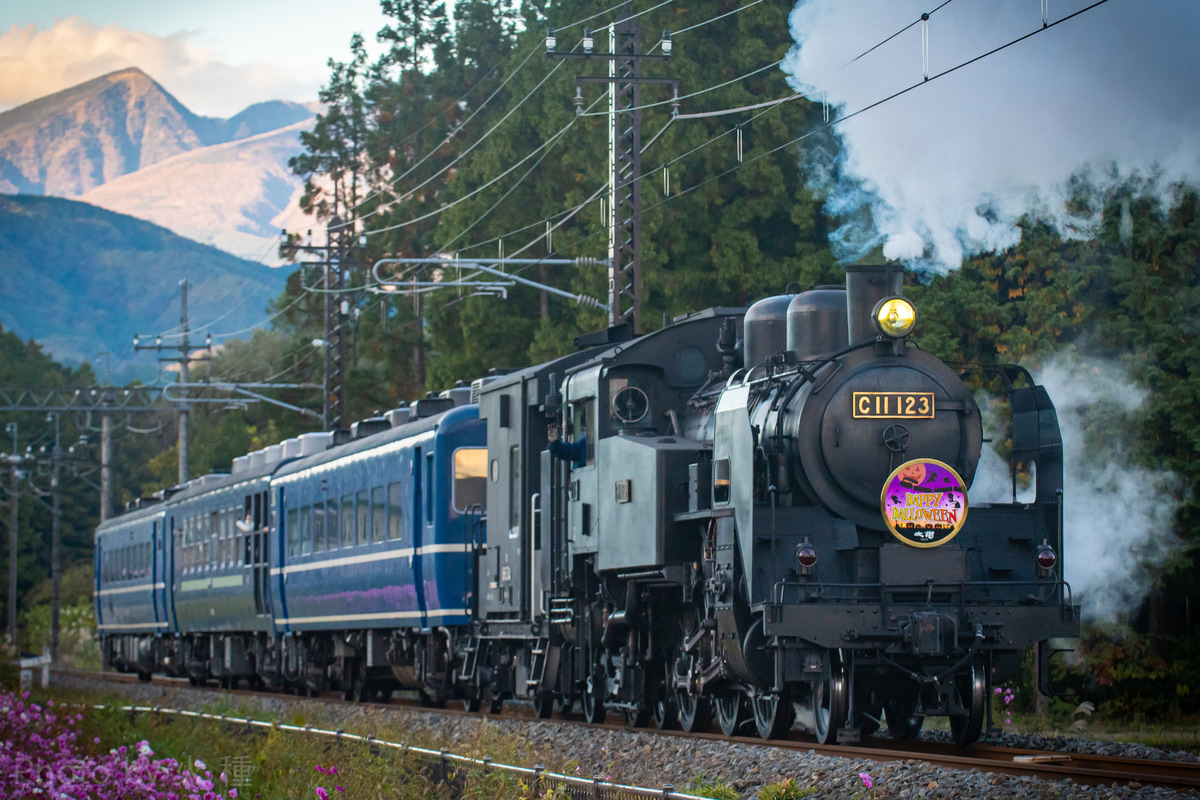 東武鉄道 下今市機関区 C11 123