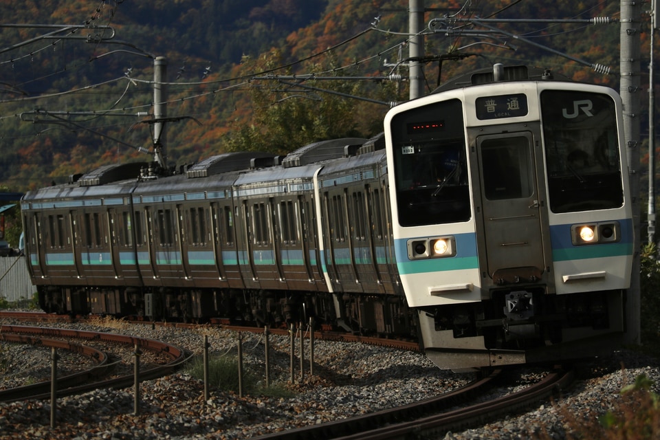 JR東211系ナノN303編成<br class="br-sp" />(ナノN303)の写真