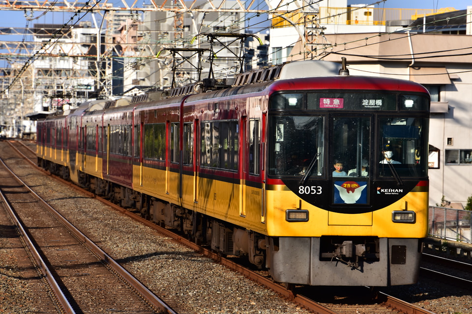 京阪8000系8003F<br class="br-sp" />(8003編成)の写真