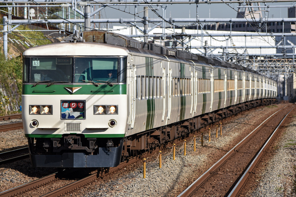 JR東185系オオA3編成<br class="br-sp" />(オオA3)(A3編成)の写真