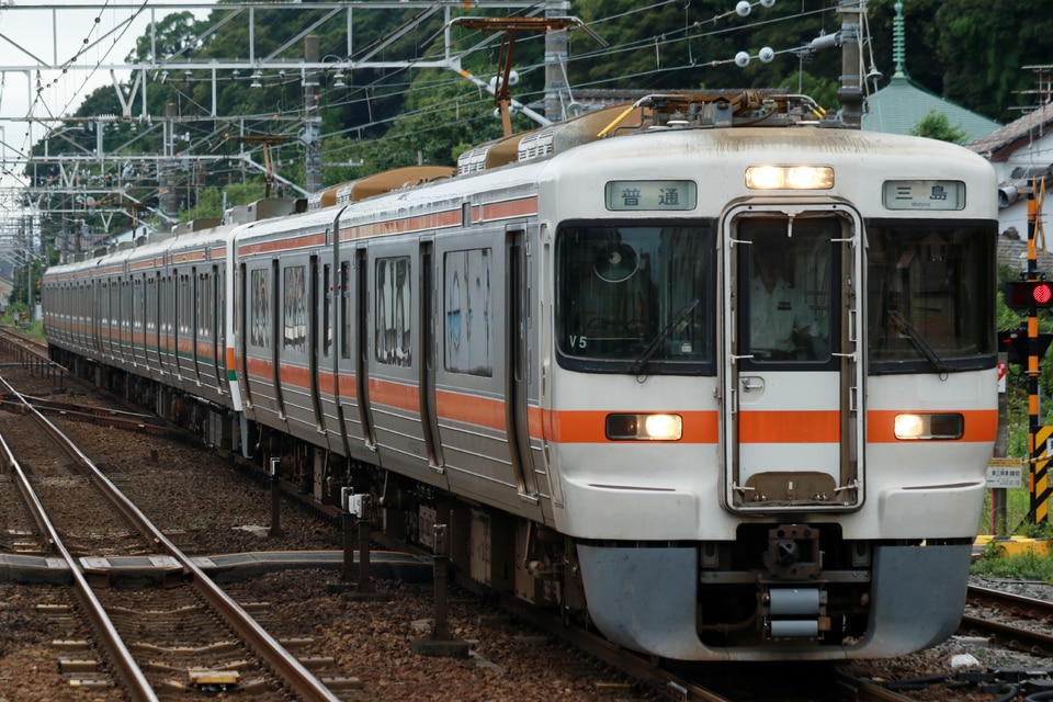 JR海313系シスV5編成<br class="br-sp" />(V5編成)の写真