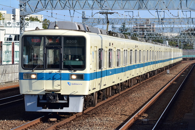 8000形8259Fを和泉多摩川駅で撮影した写真