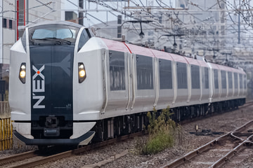 JR東日本  E259系 クラNe019編成