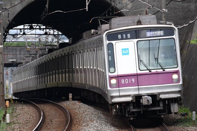 鷺沼検車区 8000系 8119F の写真 |鉄道写真投稿サイトTrain