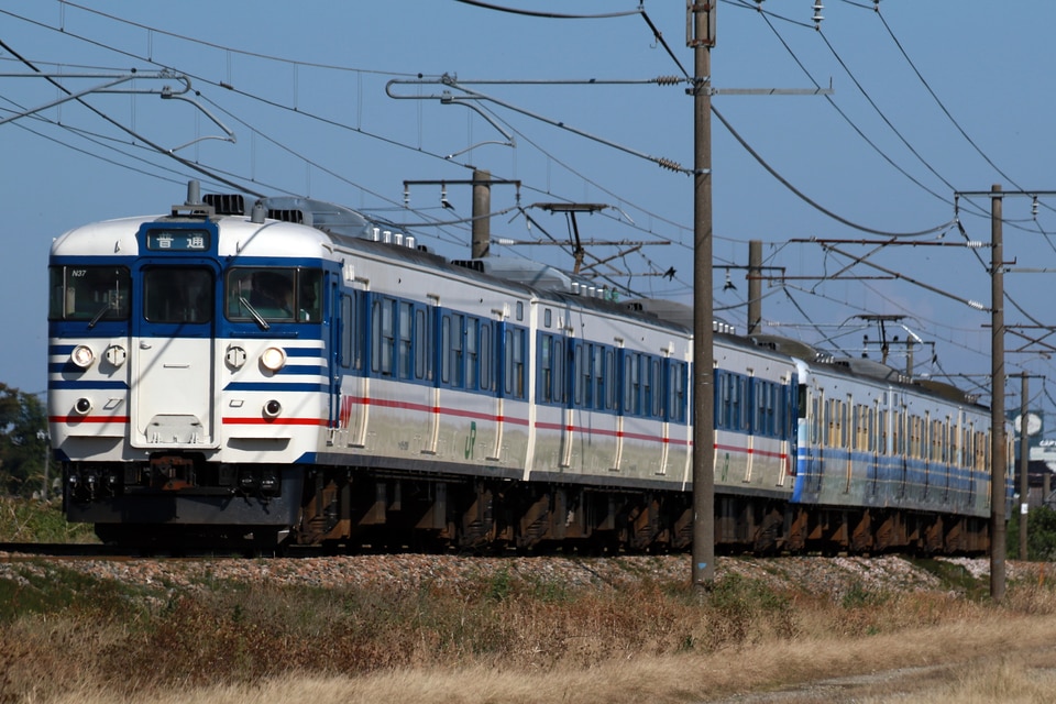 JR東115系ニイN37編成<br class="br-sp" />(ニイN37)の写真