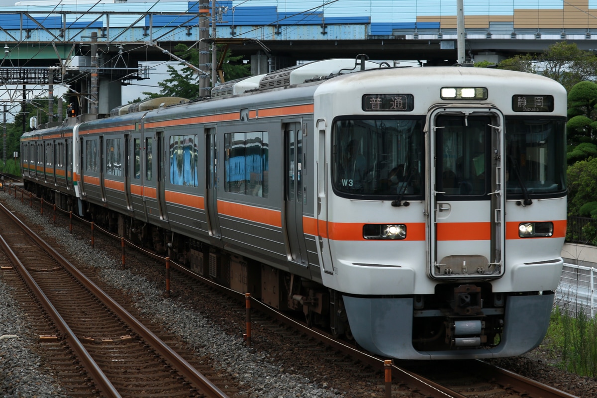 JR東海 静岡車両区 313系 シスW3編成