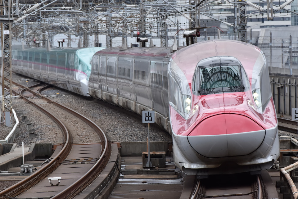 JR東E6系Z11編成の写真