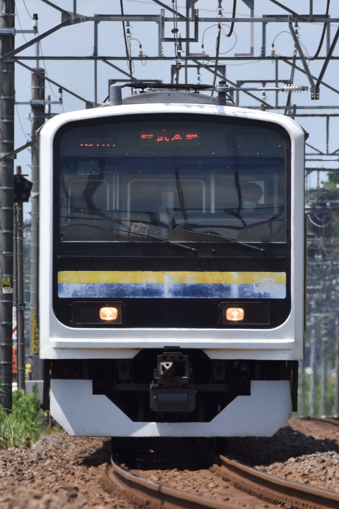 鉄道関連グッズ：鉄道プレート 鉄道編成札 マリ336幕張電車区 プラ板(当時物) 幕張車両センター 209系 マリC608編成 の写真 |鉄道写真投稿サイト