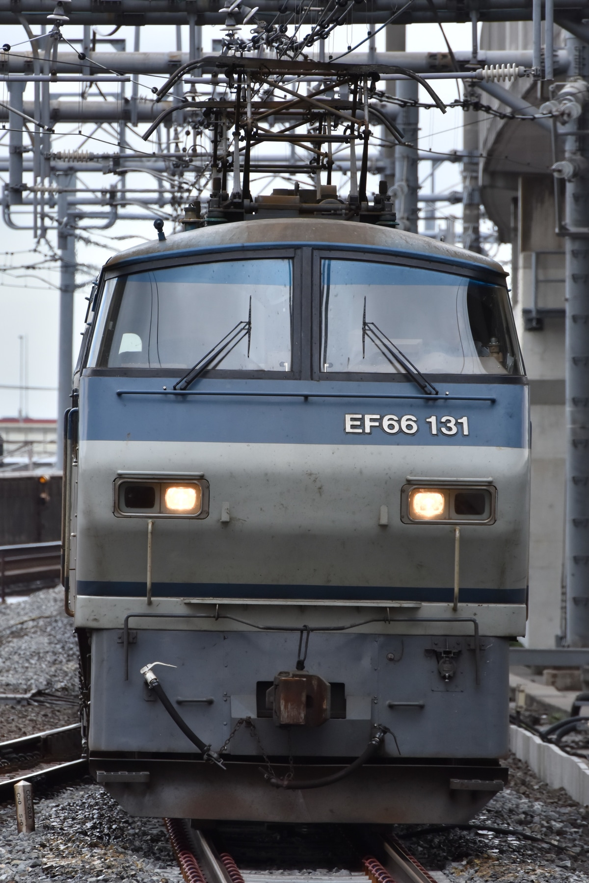 吹田機関区 Ef66 131 の写真 鉄道写真投稿サイトtrain Directory