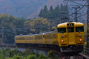 JR西日本 岡山電車区 115系 D-15編成