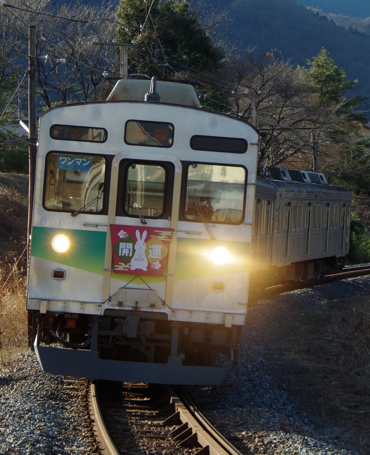 秩父鉄道 広瀬川原車両基地 7000系 7001F