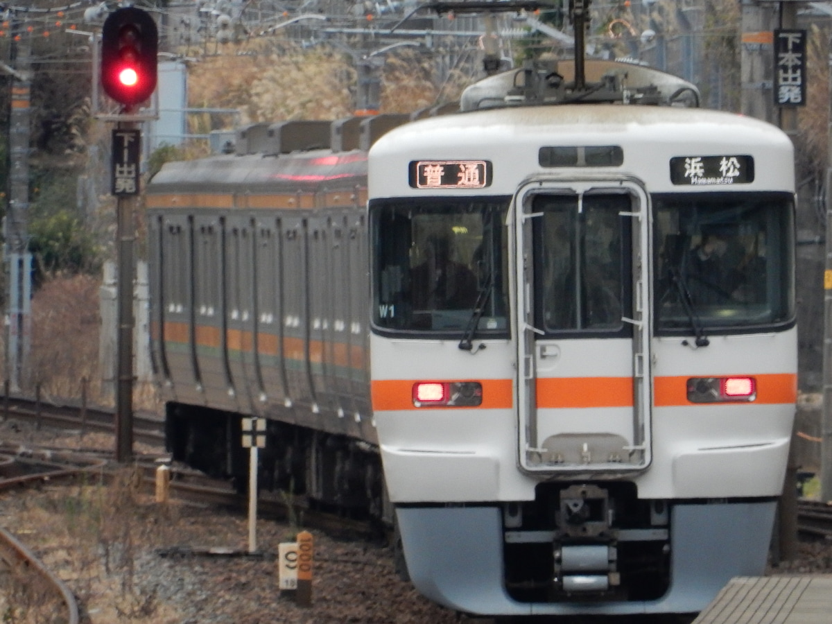 JR東海 静岡車両区 313系 シスW1編成