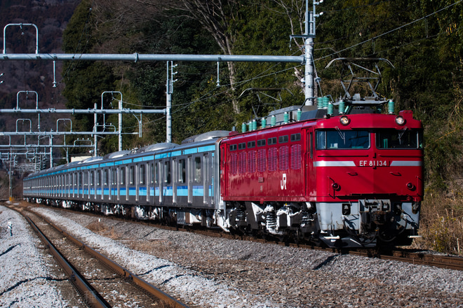 長岡車両センターEF81134を津久田～敷島間で撮影した写真