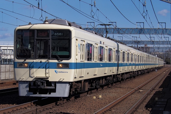 大野総合車両所8000形8261×6を和泉多摩川駅で撮影した写真