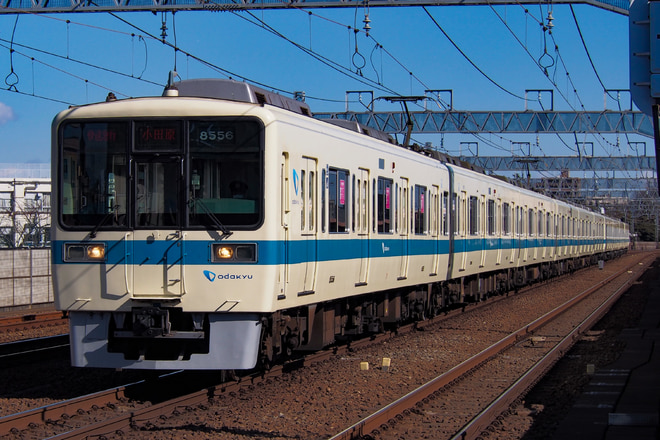 大野総合車両所8000形8256×6を和泉多摩川駅で撮影した写真
