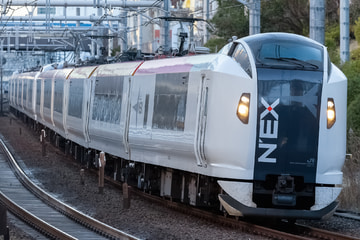 JR東日本  E259系 クラNe010編成