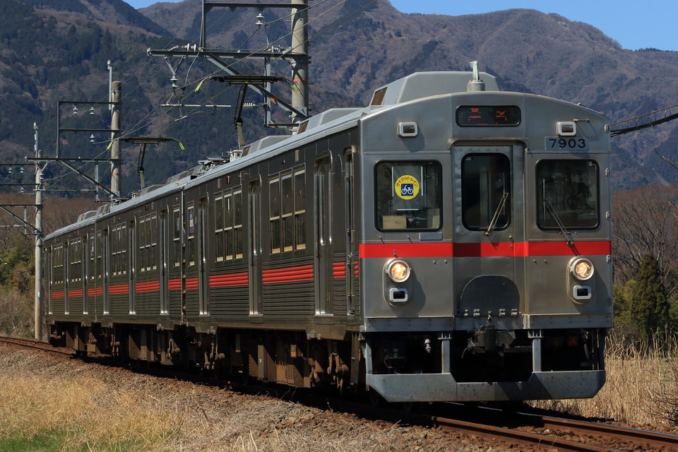 養老鉄道 7700系 TQ03編成の写真